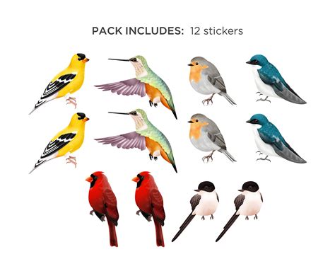 Bird Sticker Pack 12pc / Bird Stickers / Nature Stickers / - Etsy