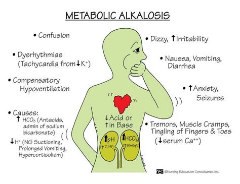 Metabolic Alkalosis | Nursing school survival, Nurse, Nursing school ...