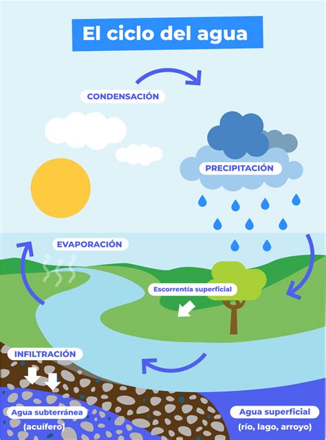 autobús De acuerdo con científico el ciclo del agua imagenes y explicacion Deshacer ironía Color ...