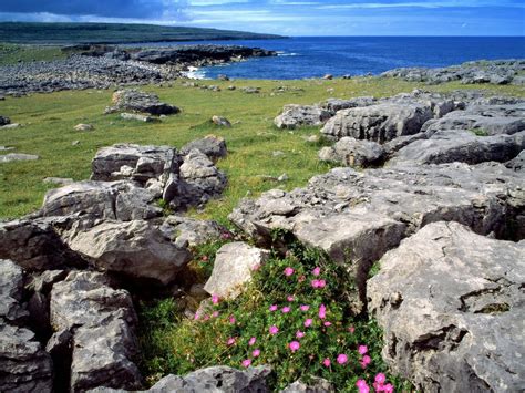 Hiking the Burren in Ireland 2024 - Rove.me