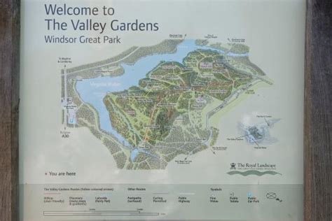 Savill Gardens Windsor Map | Fasci Garden