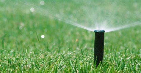 How to Adjust your Pop-up Sprinkler Heads