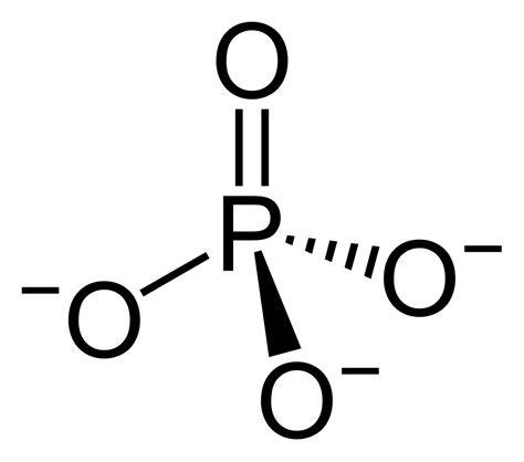 Phosphate - Wikipedia