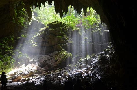 Rio Camuy Cave Park | NatureFind Best Vacations, Vacation Trips, Puerto Rico, Camuy, Limestone ...