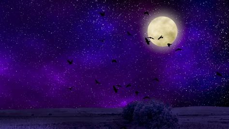 Moon Night Wallpapers - Top Free Moon Night Backgrounds - WallpaperAccess