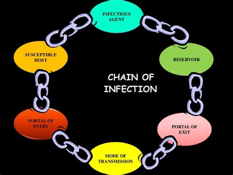 Chain Of Infection 6 Steps