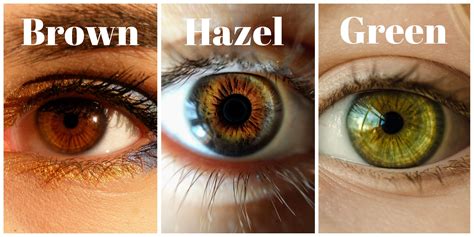 the best eye makeup for hazel eyes makeup for hazel eyes hazel eye ...