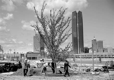 Oklahoma City bombing 'Survivor Tree' lives on - April 19, 2019 | The ...