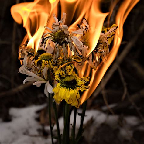 Burning Flower Bouquet