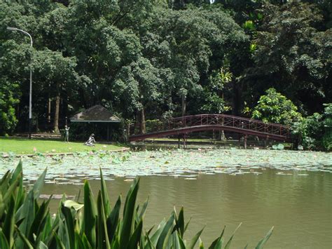 mosesrosa: Kebun Raya Bogor dan Istana Bogor