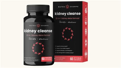 Top 6 Best Kidney Detox Supplements in 2024 - Straight.com