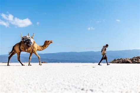 Leila Siyad on Twitter: "Somalia 🇸🇴 Sanaag Las Khorey… " Somalia, One Pic, Diving, Location ...