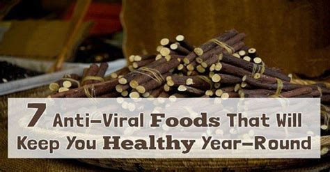 7 Anti-Viral Foods that Will Keep You Healthy Year-Round