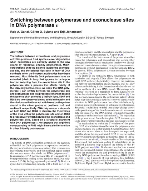 (PDF) Switching between polymerase and exonuclease sites in DNA polymerase