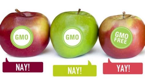 3 Reasons why Organic food triumphs GMO food every single time