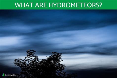 What Are Hydrometeors? - Definition and Types With Photos