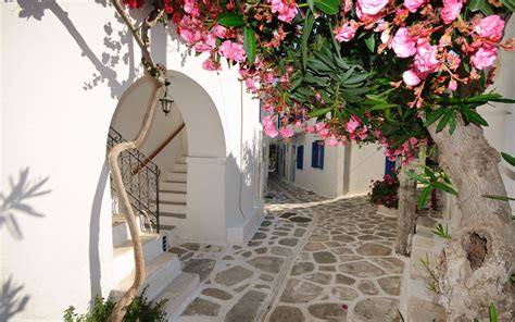 Santorini narrow streets (Greece) | Santorini grecia, Santorini, Grecia