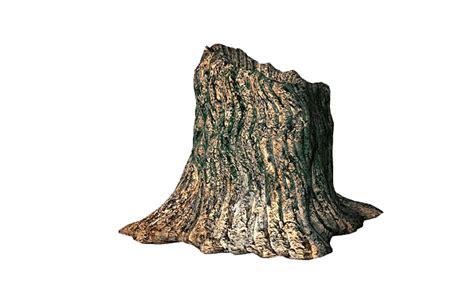 Tree Stump Trunk PNG File HD Transparent HQ PNG Download | FreePNGimg