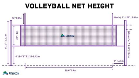 Beach Volleyball Court Size In Feet - Infoupdate.org