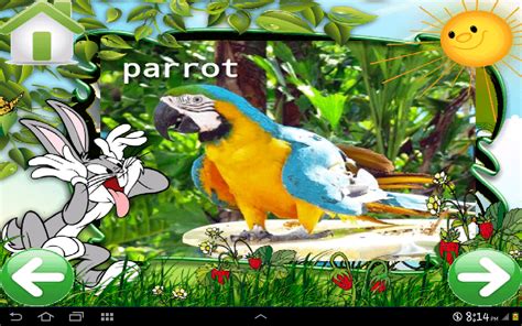 Zoo Animals For Toddlers Jungle Animals Zoo Preschool Animal Kindergarten Stories Safari Theme ...