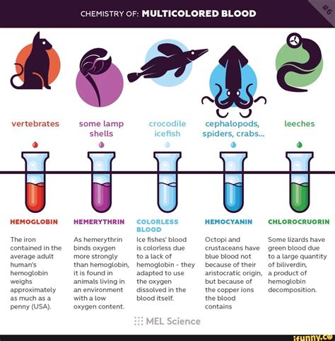 HEMOGLOBIN HEMERYTHRIN HEMOCYANIN CHLOROCRUORIN The iron As hemerythrin ...