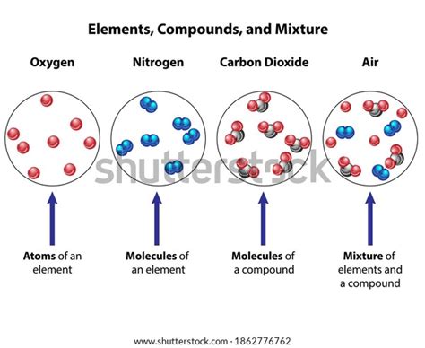 Compounds Compared Mixtures Visual Diagram Molecular Stock Vector (Royalty Free) 1862776762 ...