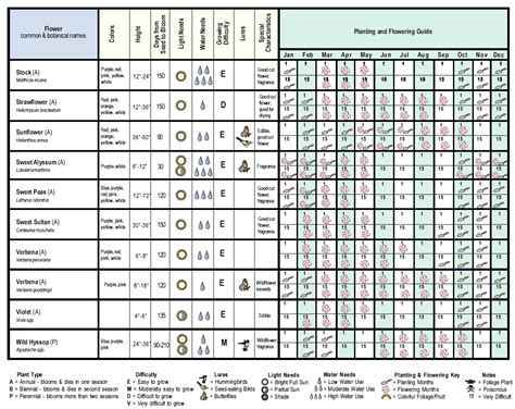 Printable Succession Planting Chart - Printable Word Searches