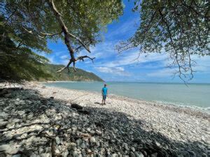 Cabo Blanco Absolute Natural Reserve: Wildlife & Hidden Beach – Paradise Catchers