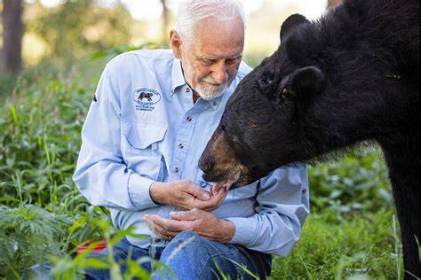 Lynn Rogers says black bears are friends, not foes. Could he be right ...