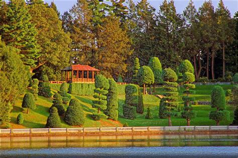 Wellesley College Lake Photograph by Janet G T