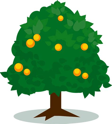 Tree with Oranges clipart. Free download transparent .PNG | Creazilla