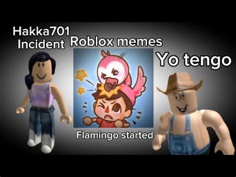 Roblox memes flamingo started - YouTube