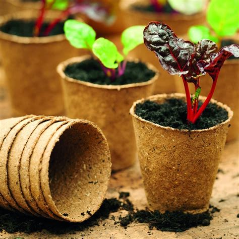 Biodegradable Plant Pots | OnePronic