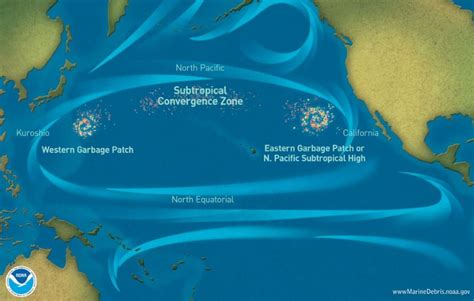 The Great Pacific Garbage Patch | Smithsonian Ocean