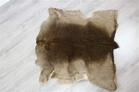 Deer Hide | Deer Rug | Deer Skin | Throw L Large - Scandinavian Style ...