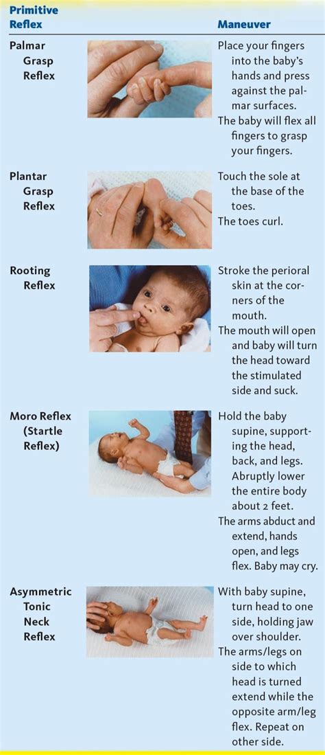 Primitive Reflexes in infants and adults : Need to integrate primitive ...