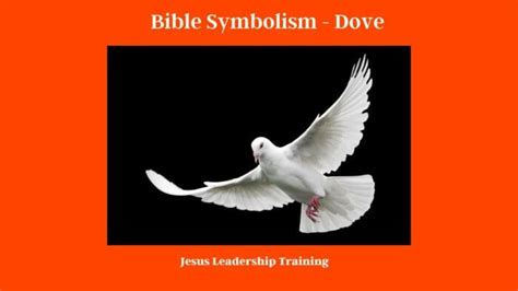 Dove Bible Symbolism: A Comprehensive Exploration of Spiritual Significance