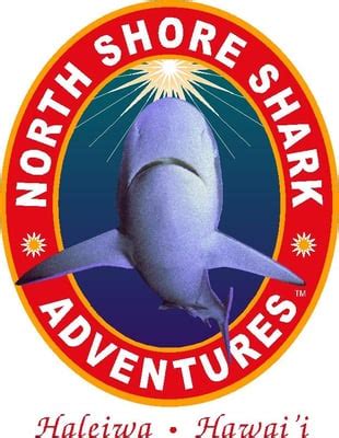 NORTH SHORE SHARK ADVENTURES - Updated December 2024 - 953 Photos & 1001 Reviews - 66-105 ...