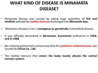 Minamata Disease.pptx