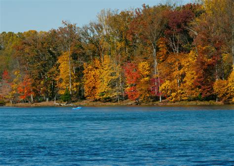 Discover West Virginia Fall Foliage at Its Best - Minneopa Orchards