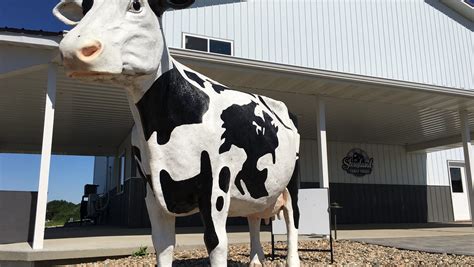 Stensland Family Farms adds tours to its offerings of milk, cheese and ...