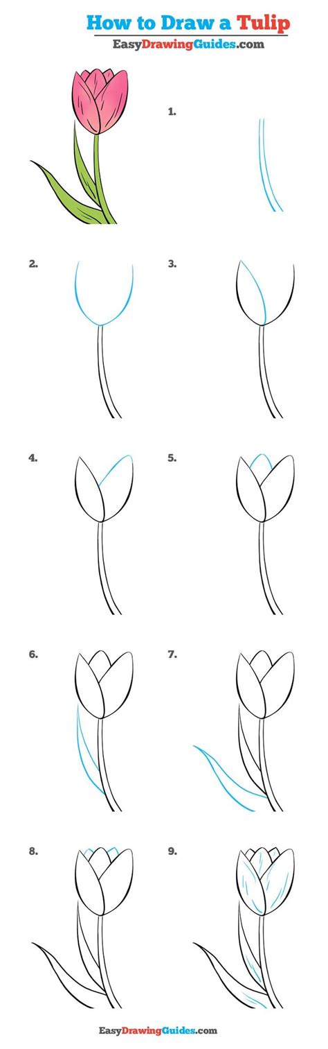 How To Draw A Simple Flower Step By Step