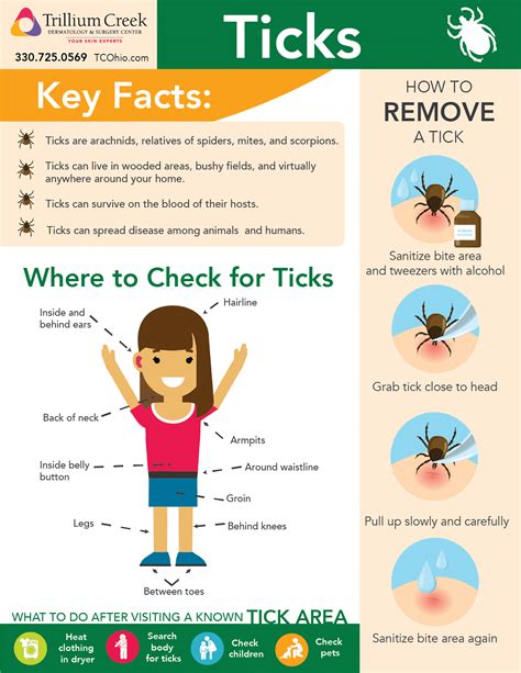 Tick Tips - Trillium Creek Dermatology