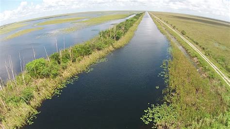 Aerial View Of The Florida Everglades Wetlands Stock Footage Video ...