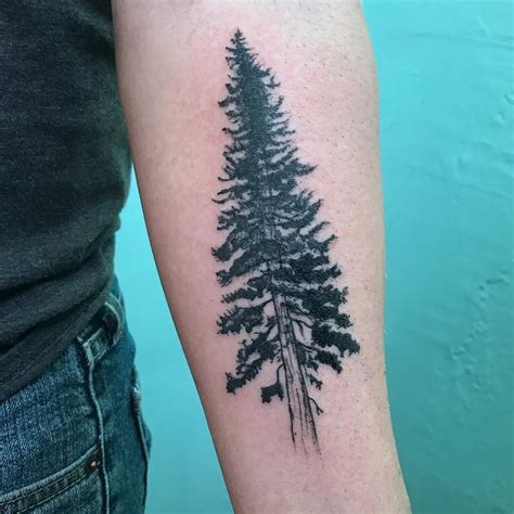 Reposting @jessieisokay: "Douglas fir. Thank you, Matt!" #treetattoo # ...