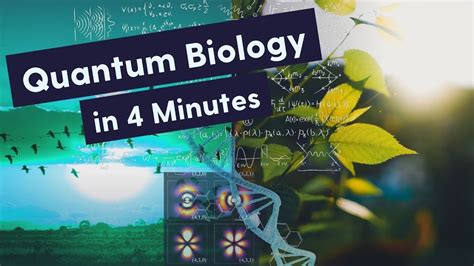 What is Quantum Biology? Quantum Biology Explained in 4 Minutes - YouTube