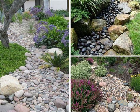 How to Create a Stunning Dry Creek Bed