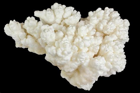 9.3" Cave Calcite (Aragonite) Formation - Fluorescent (#182355) For Sale - FossilEra.com