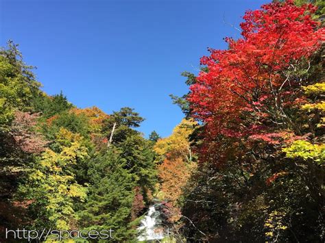 Autumn Leaves Nikko 2014