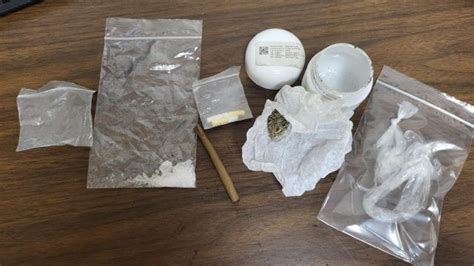 Two arrested on drug & theft charges in Jackson County; JCSO | WDHN ...